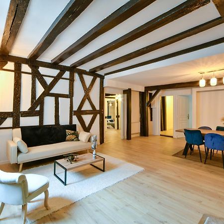 La Dame Blanche - Appartement Hypercentre Historique ブールジュ エクステリア 写真