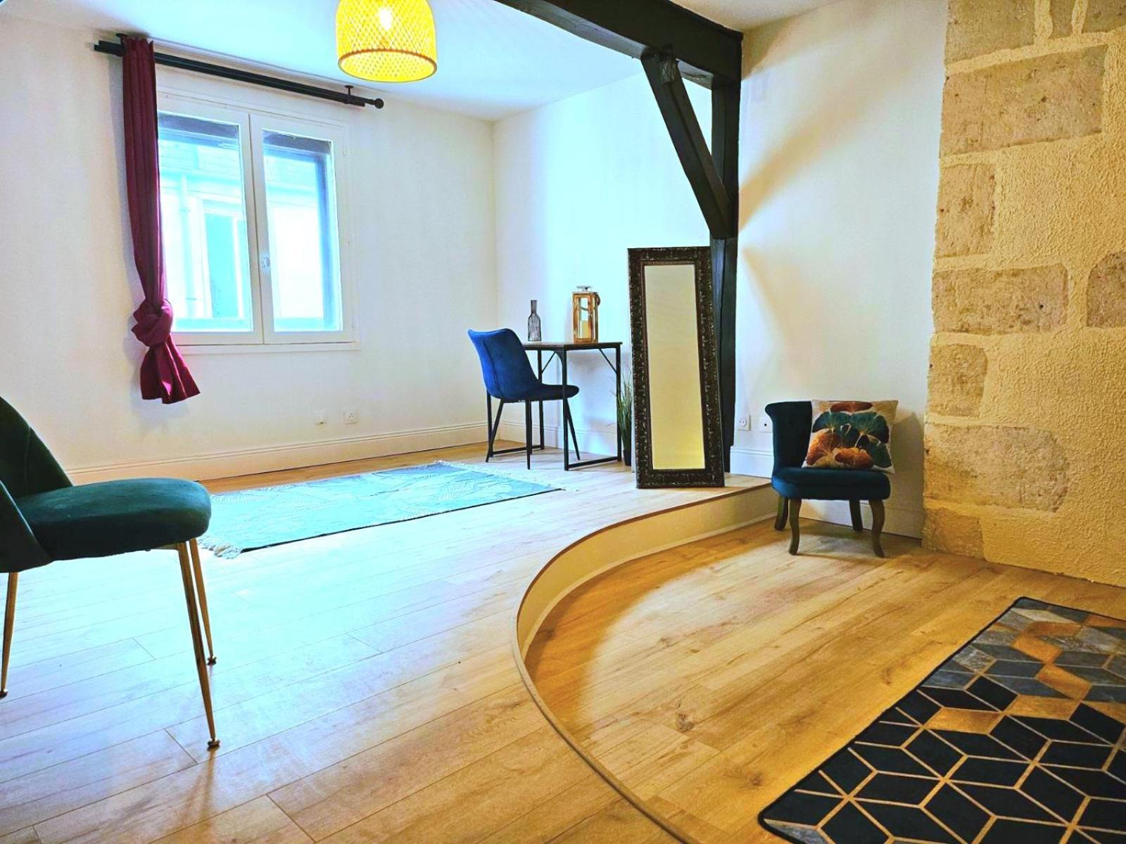 La Dame Blanche - Appartement Hypercentre Historique ブールジュ エクステリア 写真