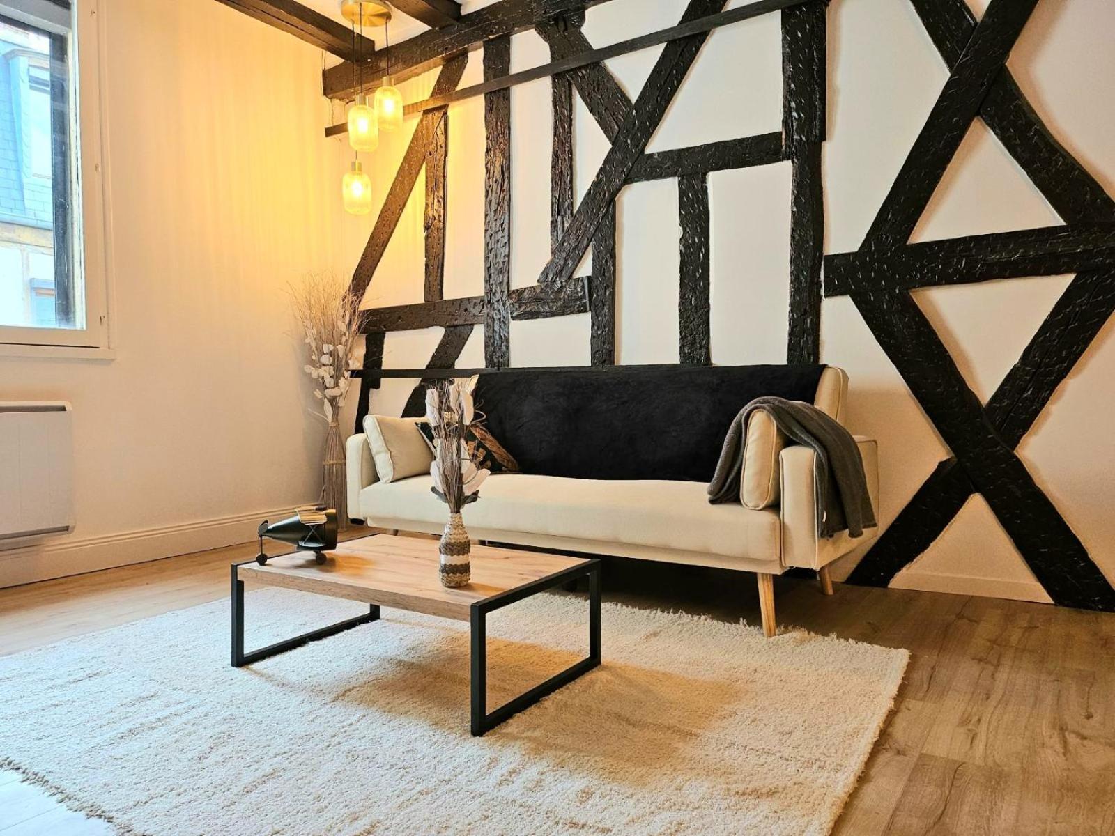 La Dame Blanche - Appartement Hypercentre Historique ブールジュ エクステリア 写真