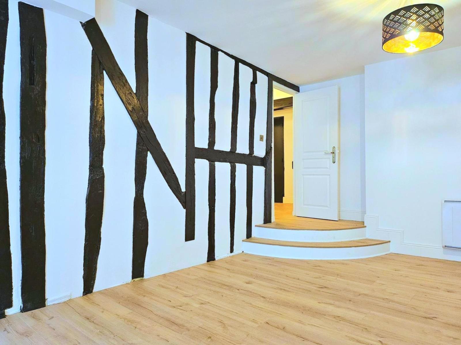 La Dame Blanche - Appartement Hypercentre Historique ブールジュ エクステリア 写真