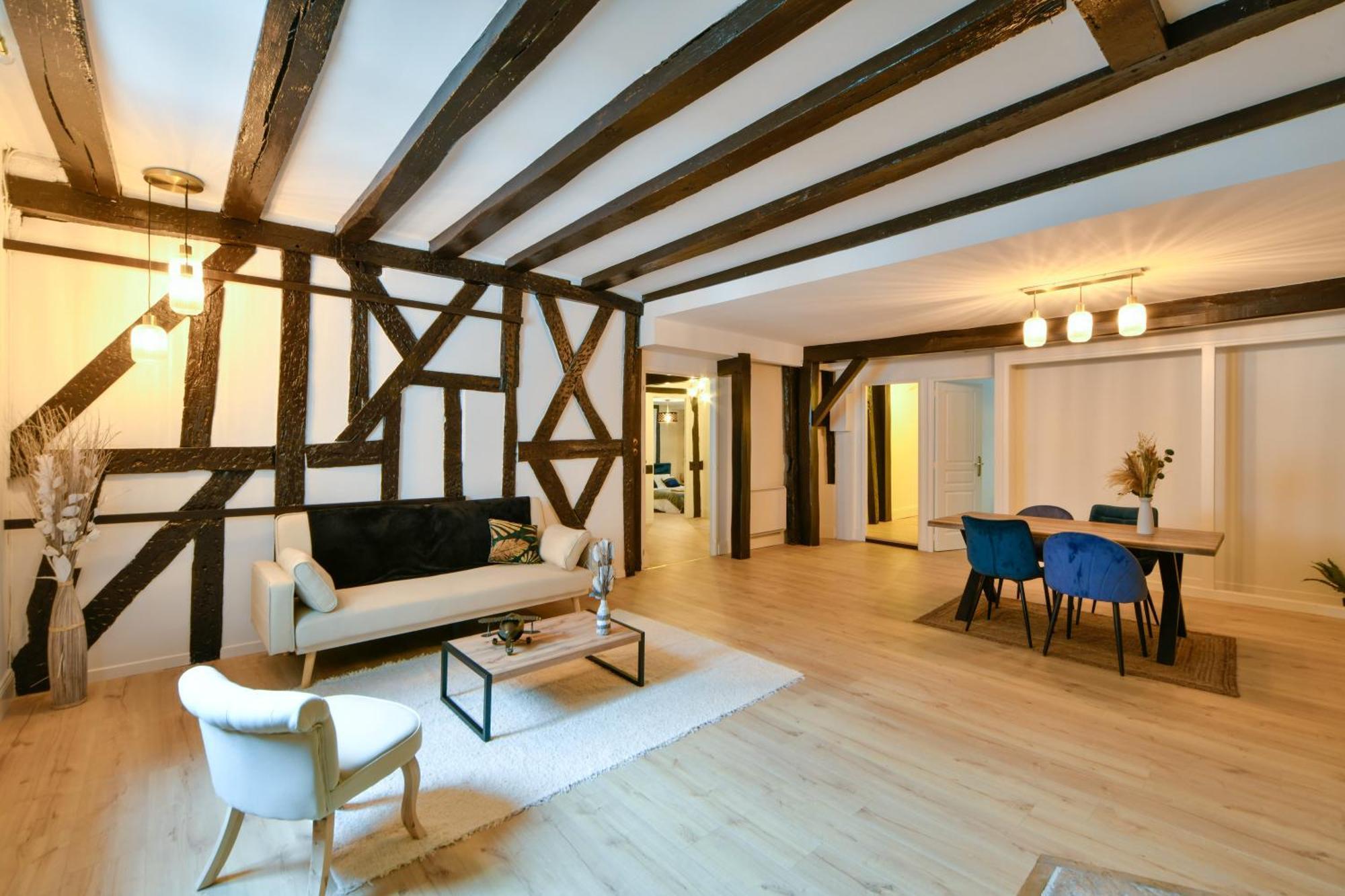 La Dame Blanche - Appartement Hypercentre Historique ブールジュ エクステリア 写真