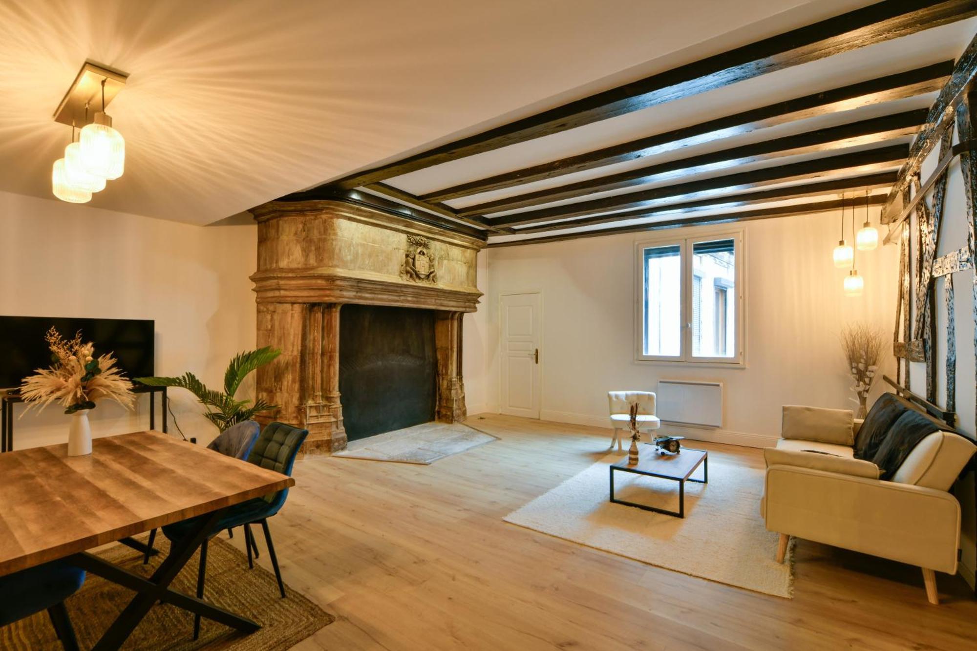 La Dame Blanche - Appartement Hypercentre Historique ブールジュ エクステリア 写真